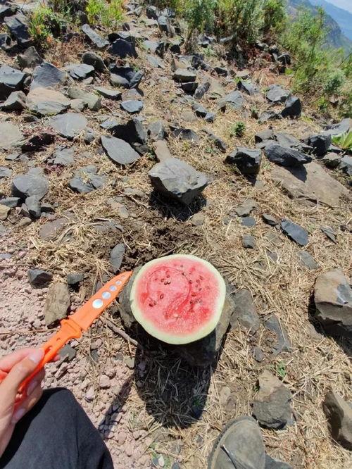 惬意吃瓜视频,揭秘热门视频背后的故事