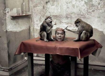 孤儿猴崽吃瓜,孤儿猴崽的甜蜜瓜果时光