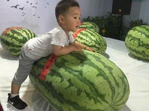 滕州今日吃瓜事件,一场网络热议背后的真相揭秘