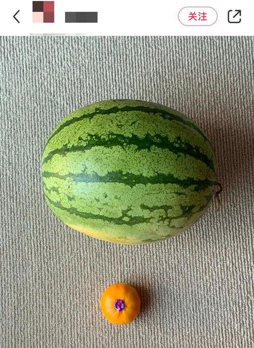 吃瓜最多的行业,揭秘吃瓜最多的行业揭秘