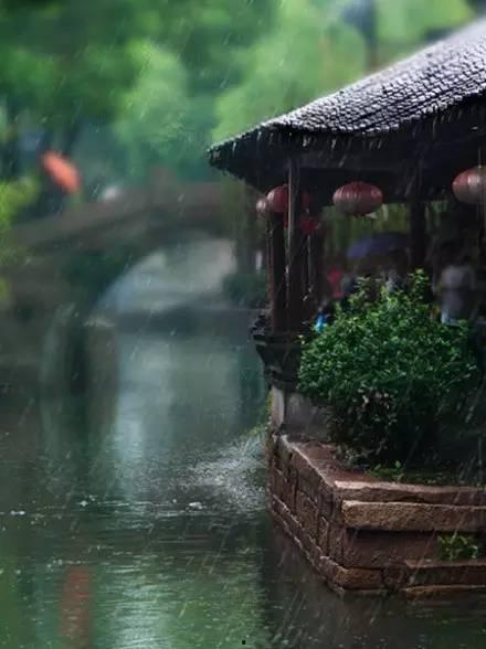 烟雨江南小酒吃瓜,吃瓜群众乐翻天