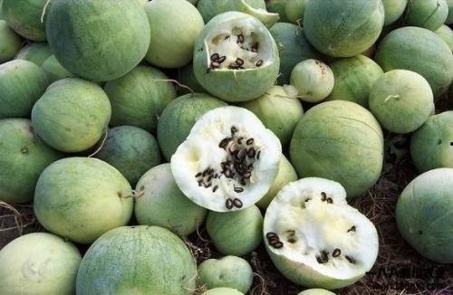 华人论坛吃瓜,吃瓜群众如何解读娱乐圈风云变幻?