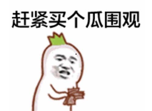 吃瓜群众长相特征,揭秘吃瓜群众的独特长相特征