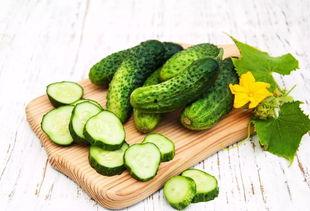 俄语吃瓜,揭秘网络热词背后的文化内涵