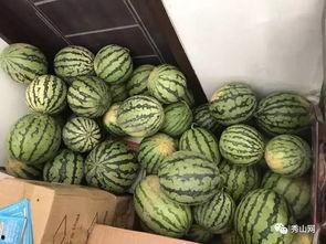 滨江业主群吃瓜,一场吃瓜盛宴背后的社区风云